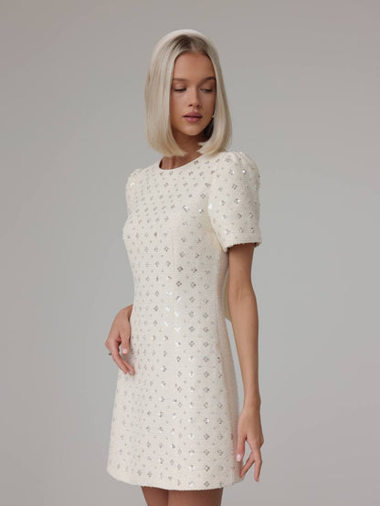 Payet İşlemeli Mini Elbise